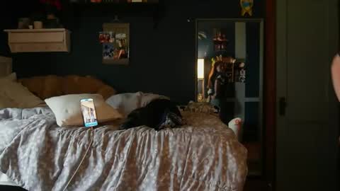 Snapshot of brunettebaby040 chatting on 24, 10, 2025 brunettebaby040 online show from 24, 10, 2025