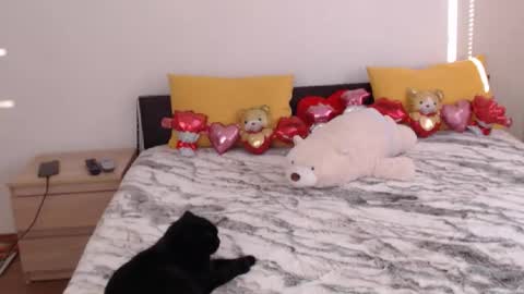 Snapshot of brunettgirl_ chatting on 3, 2, 2026 Ellis online show from 3, 2, 2026