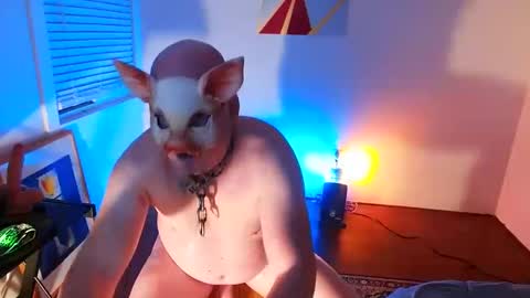 bottom freak online show from 8, 2, 2025