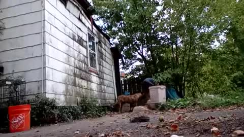 Snapshot of buddylovex chatting on 6, 10, 2025 buddylovex online show from 6, 10, 2025