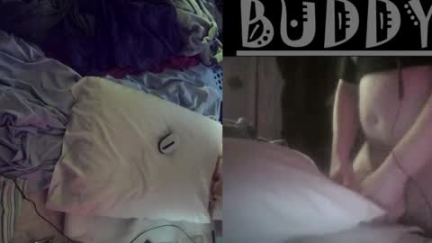 Snapshot of budsonly36 chatting on 15, 2, 2025 budsonly36 online show from 15, 2, 2025