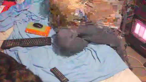 Snapshot of bufu21 chatting on 2, 2, 2025 bufu21 online show from 2, 2, 2025