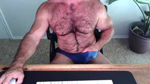 Snapshot of bullbud chatting on 9, 6, 2026 Wrestling Dads.. hit me up. online show from 9, 6, 2026