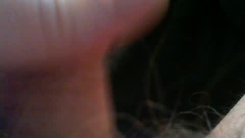 bullemoe online show from 16, 4, 2026