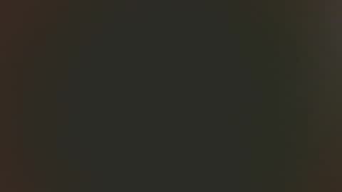 Dutch cock online show from 25, 4, 2026