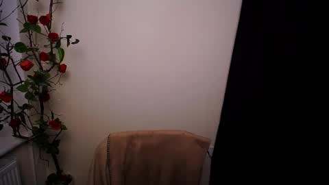 Ariel online show from 20, 3, 2026