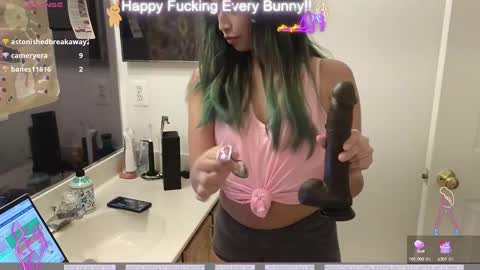 Snapshot of bunnycheekz chatting on 5, 12, 2024 Tokki  bunny  online show from 5, 12, 2024