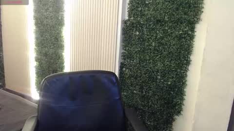 bunny online show from 5, 1, 2026