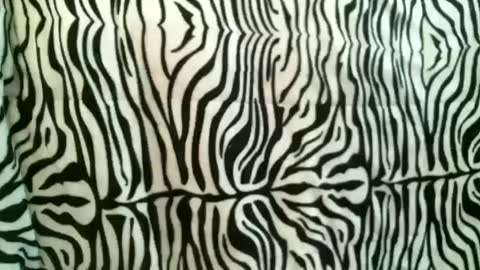 bustinfree online show from 18, 10, 2025