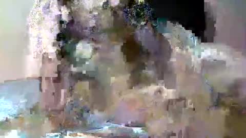 butler_yung online show from 12, 5, 2026