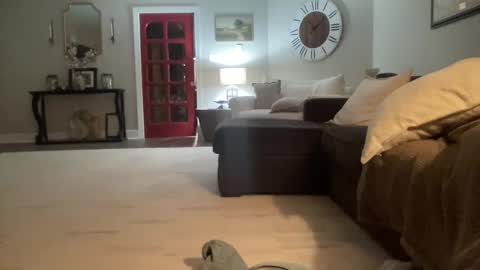 Snapshot of bwc2465 chatting on 15, 2, 2025 bwc2465 online show from 15, 2, 2025