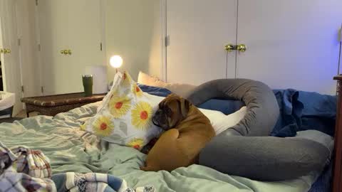 c2cmee online show from 9, 3, 2026