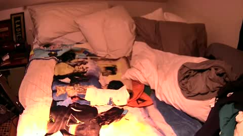 c547409 online show from 2, 10, 2025