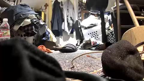 c547409 online show from 21, 10, 2025