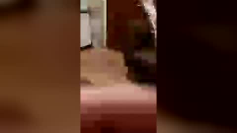 cachondo22fu online show from 26, 7, 2026