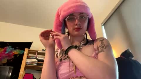 Catnip online show from 11, 1, 2026