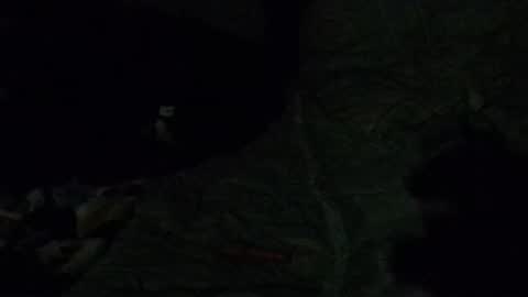 Snapshot of calisguitar chatting on 29, 12, 2024 Calisguitar online show from 29, 12, 2024