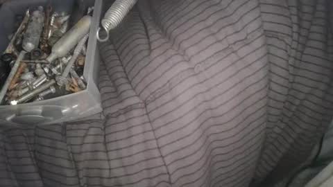 Snapshot of calisguitar chatting on 13, 2, 2025 Calisguitar online show from 13, 2, 2025