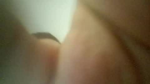 Snapshot of cameliasecui3 chatting on 29, 1, 2025 cameliasecui3 online show from 29, 1, 2025