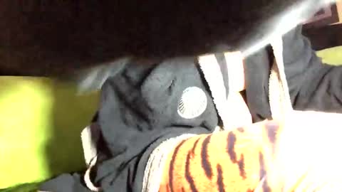 Snapshot of camelion90 chatting on 2, 3, 2025 Marco online show from 2, 3, 2025