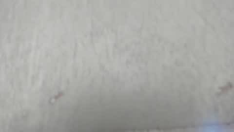 Snapshot of camilahunter__ chatting on 10, 6, 2026 Camila online show from 10, 6, 2026