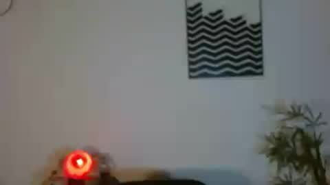camilaparrisx online show from 24, 6, 2026