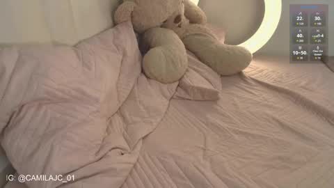 Snapshot of cammile_cole chatting on 10, 2, 2026 Laura Camila online show from 10, 2, 2026