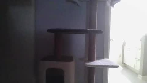 cammyman6900 online show from 21, 11, 2025