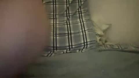 Snapshot of canadianbigdaddyx chatting on 20, 12, 2024 CanadaPanda online show from 20, 12, 2024