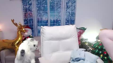 candy8998 online show from 16, 12, 2024