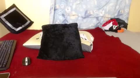 Snapshot of candy_hun chatting on 28, 10, 2025 candy_hun online show from 28, 10, 2025