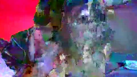 Snapshot of candy_kyle chatting on 2, 10, 2025 candy kyle online show from 2, 10, 2025