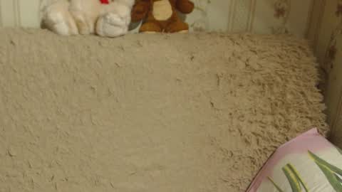 Snapshot of candylady136 chatting on 13, 12, 2024 say meow and send tip online show from 13, 12, 2024