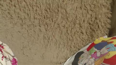 Snapshot of candylady136 chatting on 14, 2, 2025 say meow and send tip online show from 14, 2, 2025