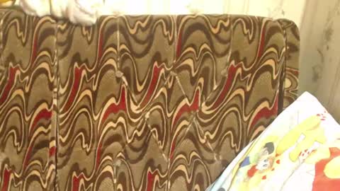 Snapshot of candylady136 chatting on 2, 3, 2025 say meow and send tip online show from 2, 3, 2025