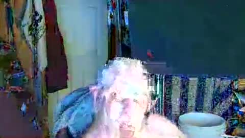 canoelicker69 online show from 14, 12, 2025