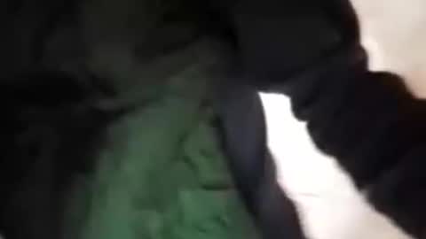 Snapshot of capri34 chatting on 21, 9, 2025 capri34 online show from 21, 9, 2025