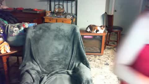 Snapshot of carleyquinn42183 chatting on 2, 12, 2024 Carley online show from 2, 12, 2024