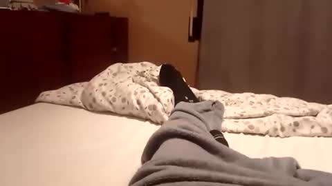 carlitito1 online show from 6, 10, 2025