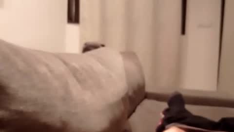 carlitito1 online show from 30, 10, 2025