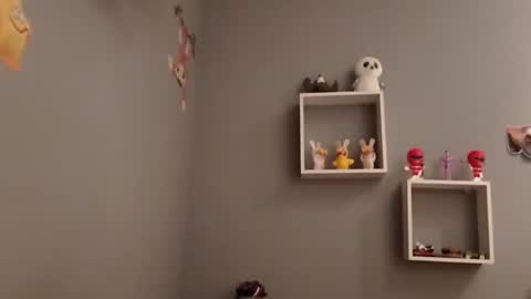 carlitito1 online show from 19, 11, 2025