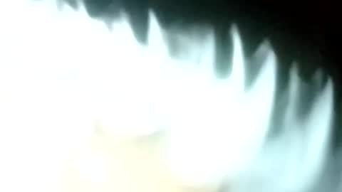 carlitito1 online show from 1, 4, 2026