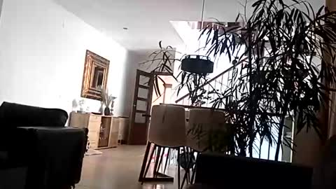 carlitito1 online show from 15, 4, 2026