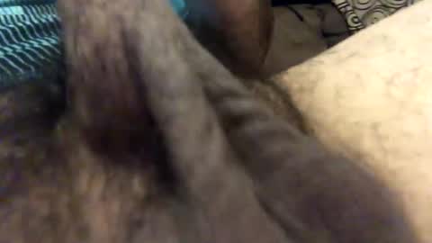 carlitos34m906127 online show from 7, 2, 2026