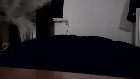 Snapshot of carlosandvivi13 chatting on 11, 10, 2025 carlosandvivi13 online show from 11, 10, 2025