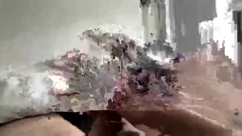 Snapshot of carnifex5 chatting on 26, 2, 2026 carnifex5 online show from 26, 2, 2026