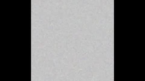 carolina online show from 14, 12, 2024