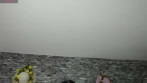 Snapshot of carolinajamess chatting on 4, 11, 2025 Camelia online show from 4, 11, 2025