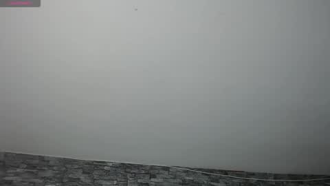 Snapshot of carolinajamess chatting on 17, 11, 2025 Camelia online show from 17, 11, 2025