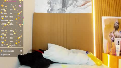 OSNA online show from 21, 3, 2026